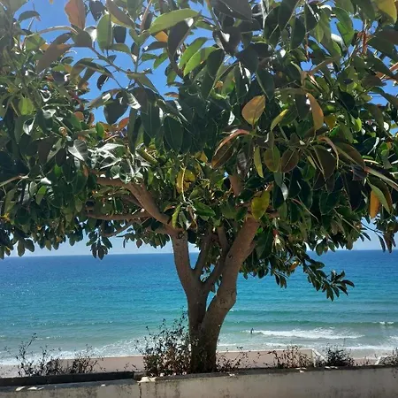 Villa Casa Madeira *