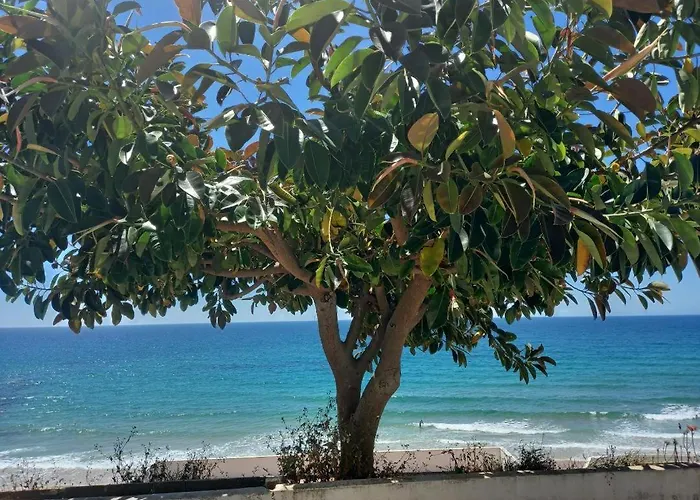 Villa Casa Madeira *